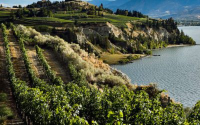Zoomer: Naramata Magic: A Guide to This Okanagan Valley Town and Wine Region, Plus Recipes